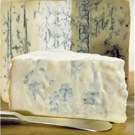 GORGONZOLA